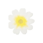 Preview: MeriMeri - Blumengarten - Blumen - Servietten