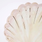 Preview: MeriMeri - 8 Meerjungfrauen Teller - Wasserfarbenene Muscheln - 19 x 19 cm