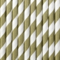 Preview: 10 Strohhalme - Papier - gold - weiß - gestreift - 19,5 cm