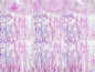 Preview: Lametta - Party - Glitzer - Vorhang - irisierend - schimmernd - 90 x 250 cm