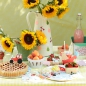 Preview: MeriMeri - Auf dem Bauernhof - Cupcake - Muffin Set