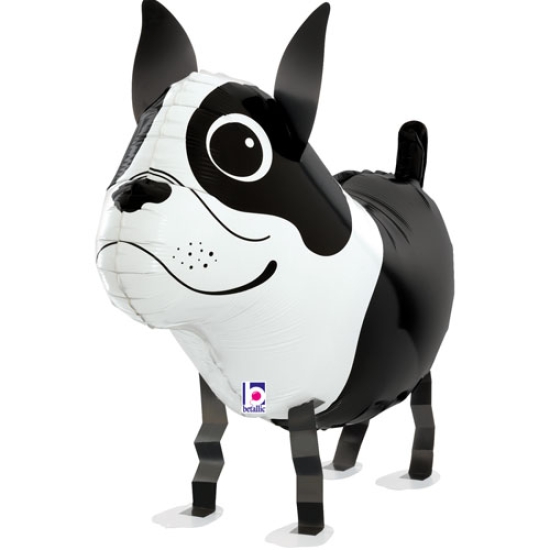 Airwalker - laufender Ballon - Boston Terrier - 48 cm