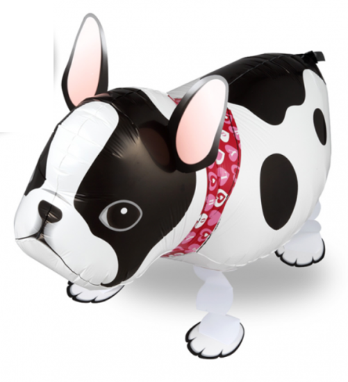 Laufender Ballon "französische Bulldogge"