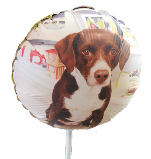 Fotoballon am Stab - luftgefüllt - rund - Ø 28 cm