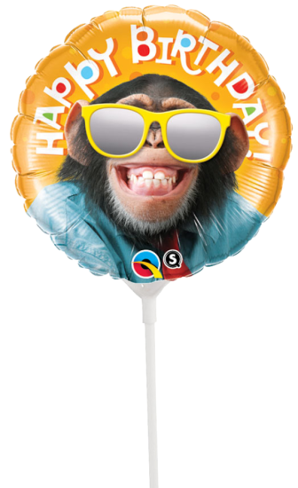Folienballon am Stab - luftgefüllt - Lustiger Schimpanse - Happy Birthday - 22,5 cm