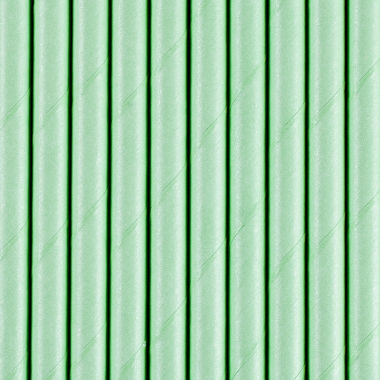 10 Strohhalme - Papier - mintgrün - 19,5 cm