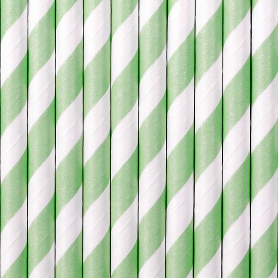 10 Strohhalme - Papier - weiß - mintgrün - gestreift - 19,5 cm