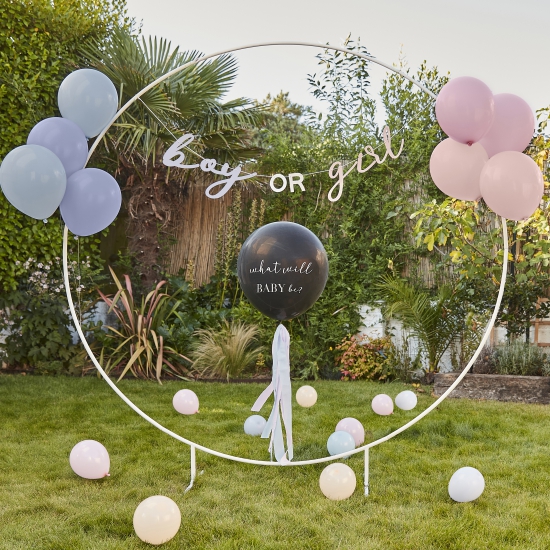 Ginger Ray - What Will Baby Be - Gender Reveal Ballon-Set